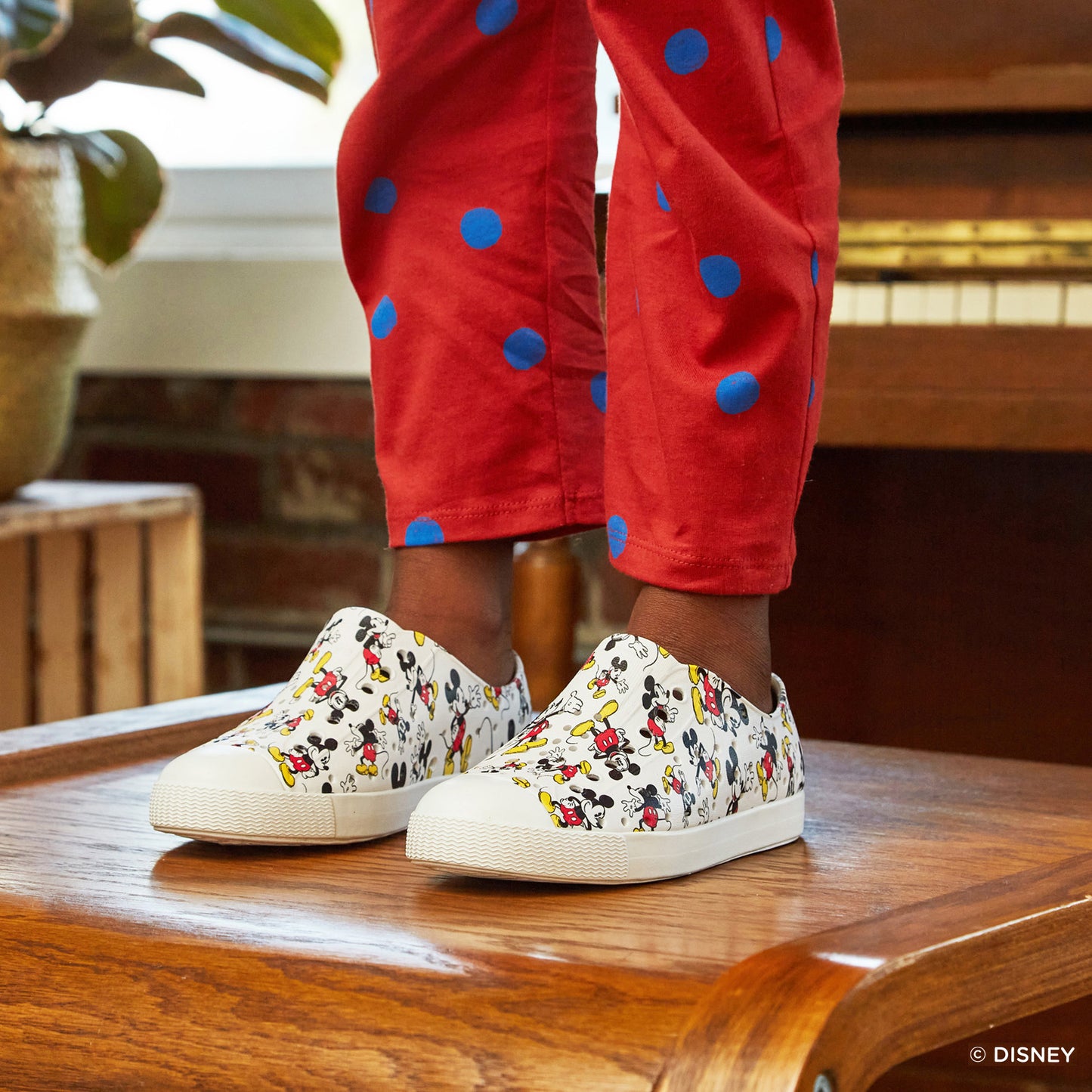 Native Jefferson Print Disney / 2030