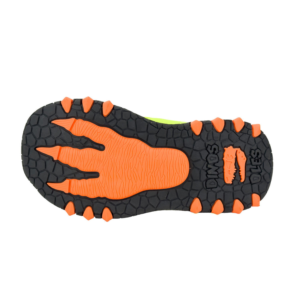 Dinosoles Light-up Sandals / 20119SL