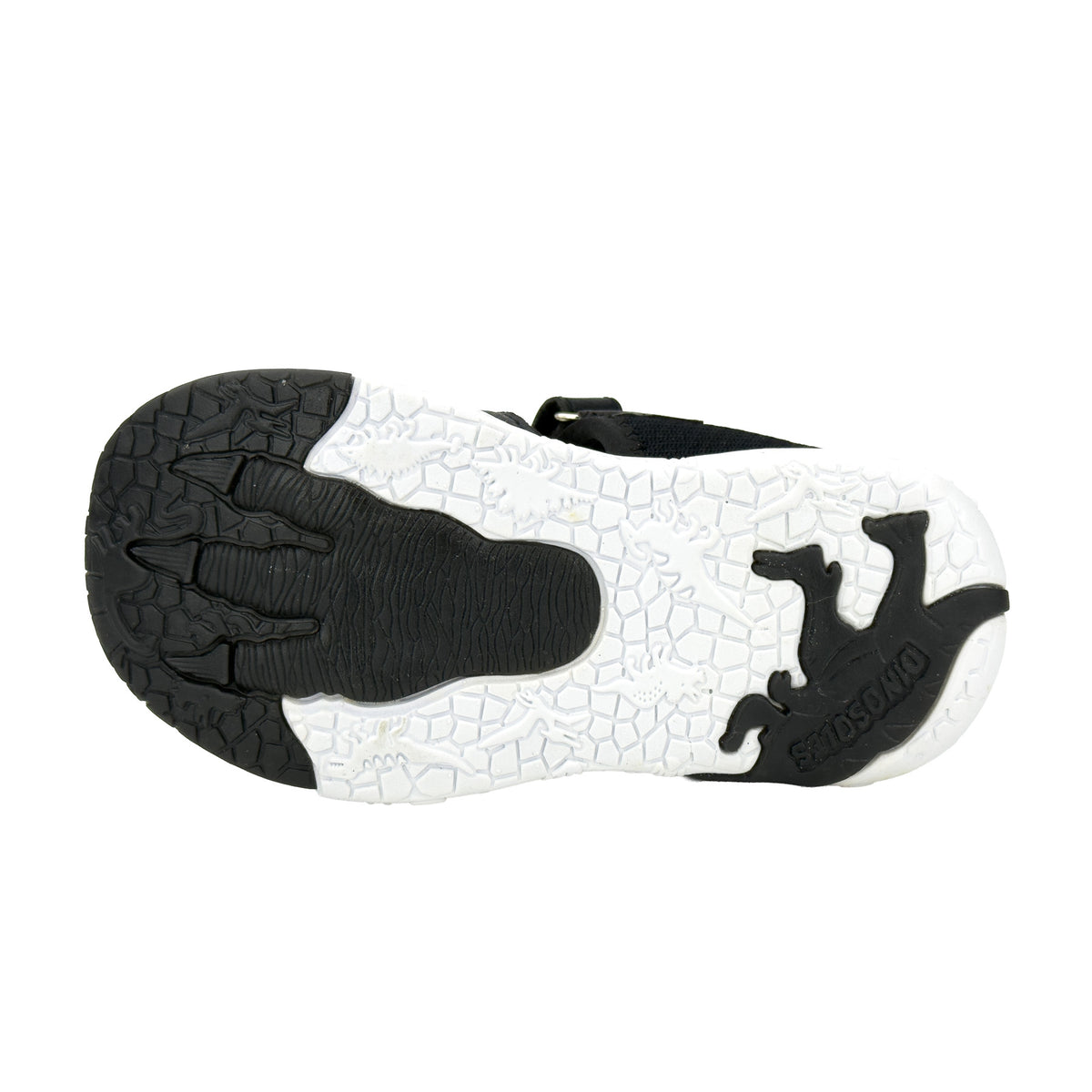 Dinosoles Light-up Sandals / 22020SL